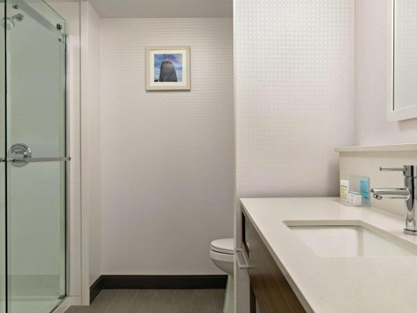 Hampton Inn London Ontario : photo 4 de la chambre chambre lit king-size avec bureau - non-fumeurs