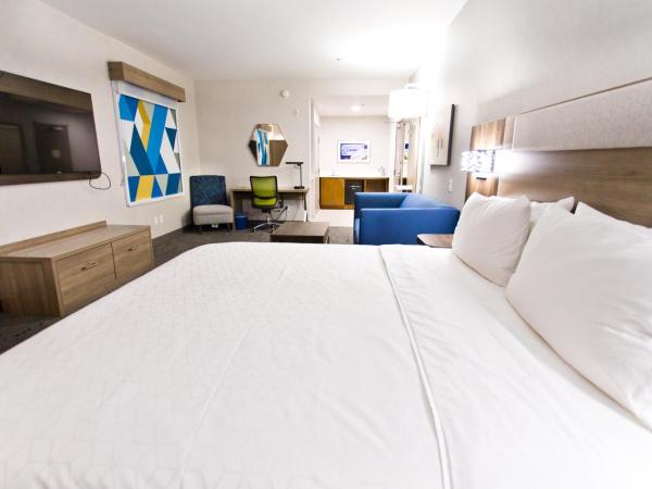 Holiday Inn Express & Suites Sacramento NE Cal Expo, an IHG Hotel : photo 1 de la chambre suite lit king-size