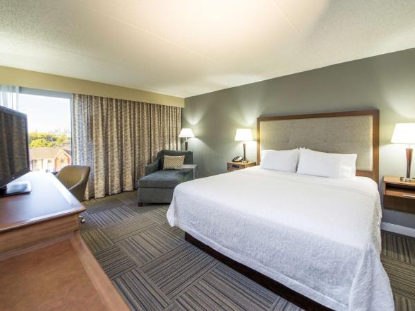 Hampton Inn Philadelphia-Airport : photo 3 de la chambre chambre lit king-size - vue sur ville - non-fumeurs