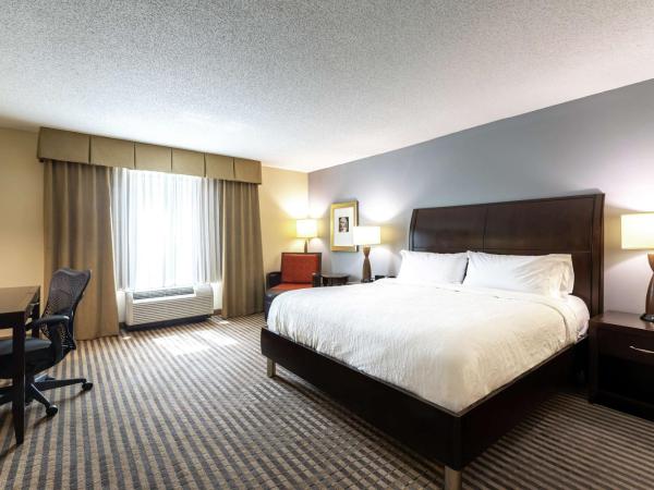 Hilton Garden Inn Atlanta Airport North : photo 2 de la chambre chambre lit king-size - pour personnes malentendantes