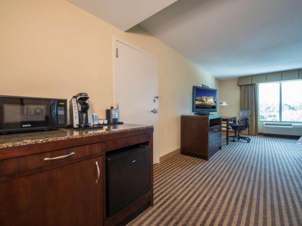Hilton Garden Inn Atlanta Airport North : photo 3 de la chambre chambre lit king-size - pour personnes malentendantes