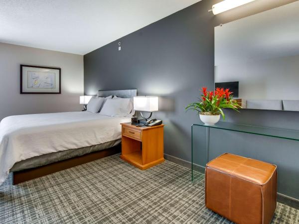Hilton Garden Inn Louisville Airport : photo 2 de la chambre chambre lit king-size deluxe