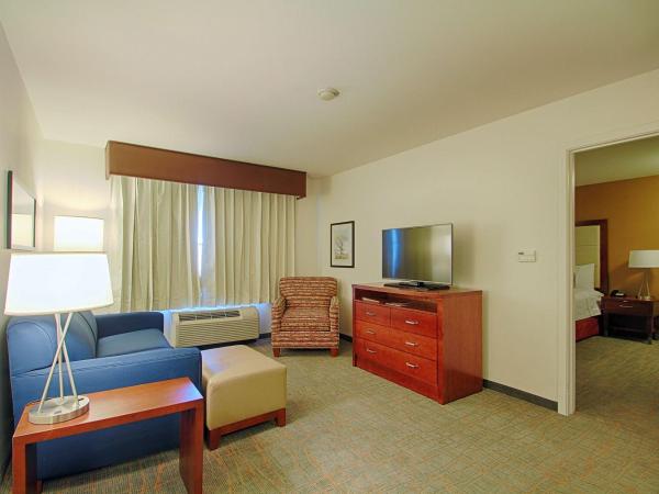 Homewood Suites by Hilton Las Vegas Airport : photo 4 de la chambre suite 1 chambre lit king-size - non-fumeurs