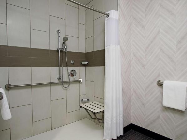 Embassy Suites Pittsburgh-Downtown : photo 3 de la chambre suite 1 chambre lit king-size pour personnes à mobilité réduite avec douche accessible en fauteuil roulant