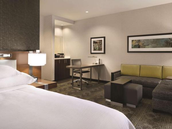 Embassy Suites Pittsburgh-Downtown : photo 5 de la chambre suite studio lit king-size