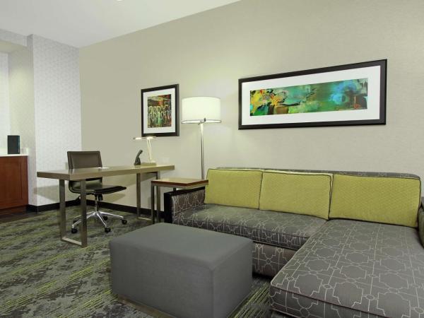 Embassy Suites Pittsburgh-Downtown : photo 4 de la chambre suite lit king-size