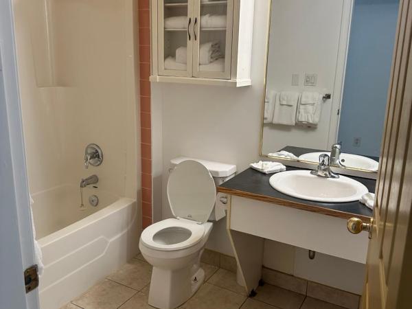 Western Budget Motel East Red Deer : photo 6 de la chambre suite familiale