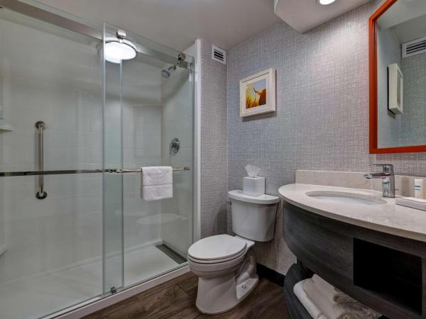 Hampton Inn San Antonio Downtown : photo 5 de la chambre chambre lit king-size