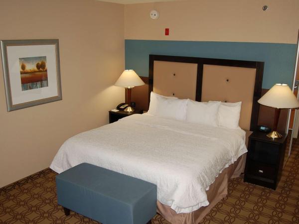 Hampton Inn & Suites Charlotte-Airport : photo 1 de la chambre king room with accessible tub - mobility and hearing access/non-smoking