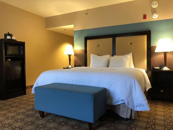 Hampton Inn & Suites Charlotte-Airport : photo 2 de la chambre chambre lit king-size - non-fumeurs