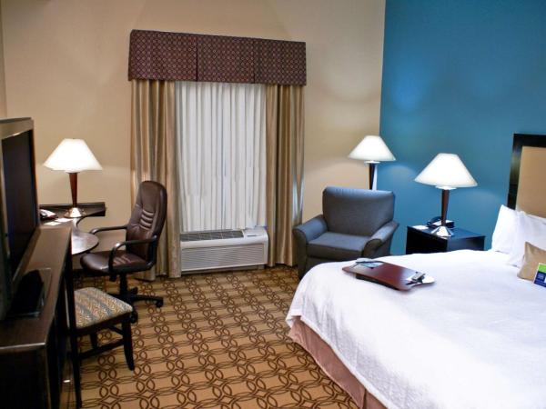 Hampton Inn & Suites Charlotte-Airport : photo 2 de la chambre king room with accessible tub - mobility and hearing access/non-smoking