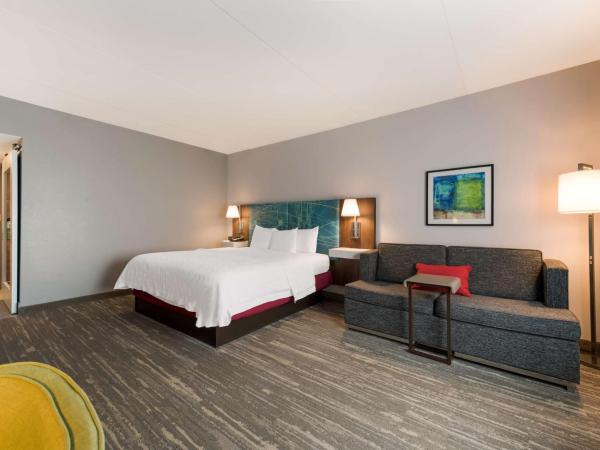Hampton Inn & Suites Charlotte-Airport : photo 5 de la chambre chambre lit king-size exécutive avec canapé-lit - non-fumeurs