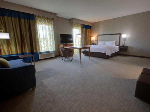 Hampton Inn & Suites by Hilton Tampa Busch Gardens Area : photo 1 de la chambre chambre lit king-size - non-fumeurs