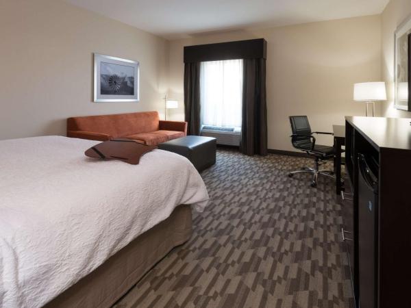 Hampton Inn & Suites Albuquerque North/I-25 : photo 1 de la chambre chambre lit king-size avec canapé-lit - non-fumeurs