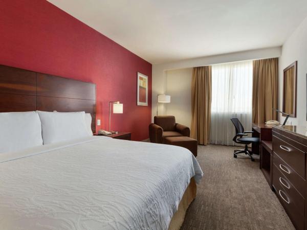 Hilton Garden Inn Queretaro : photo 2 de la chambre chambre lit king-size