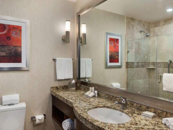 Hilton Garden Inn Queretaro : photo 4 de la chambre chambre avec 2 grands lits queen-size 