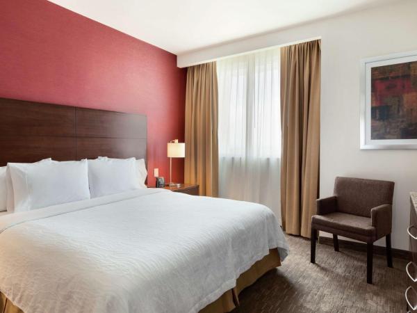 Hilton Garden Inn Queretaro : photo 4 de la chambre chambre lit king-size