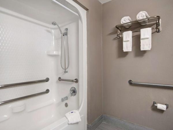 Motel 6-San Antonio, TX - South : photo 4 de la chambre chambre lit queen-size accessible aux personnes à mobilité réduite – non-fumeurs
