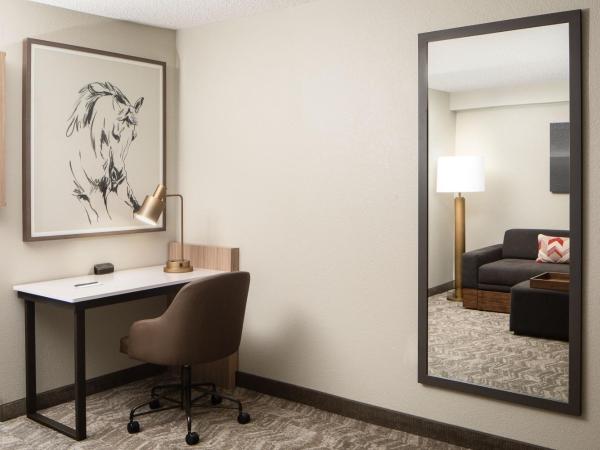 SpringHill Suites by Marriott Dallas Downtown / West End : photo 10 de la chambre suite double avec canapé-lit