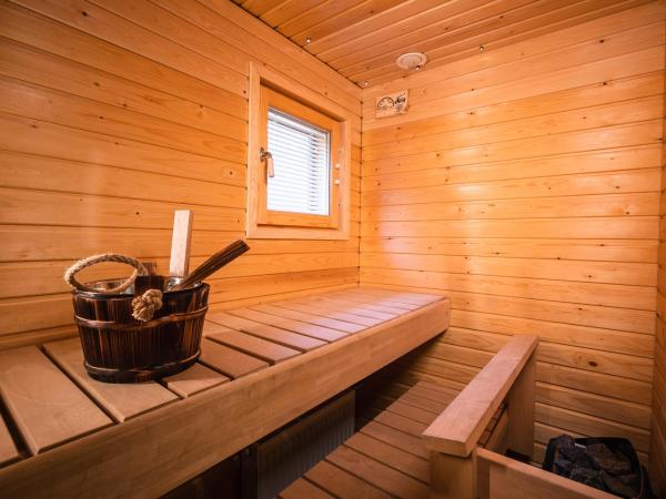 Hotel Boreas : photo 8 de la chambre chambre familiale avec sauna