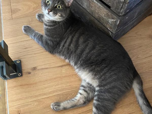 Location de chambre Villa les allamandas : photo 6 de la chambre chambre double avec salle de bains privative