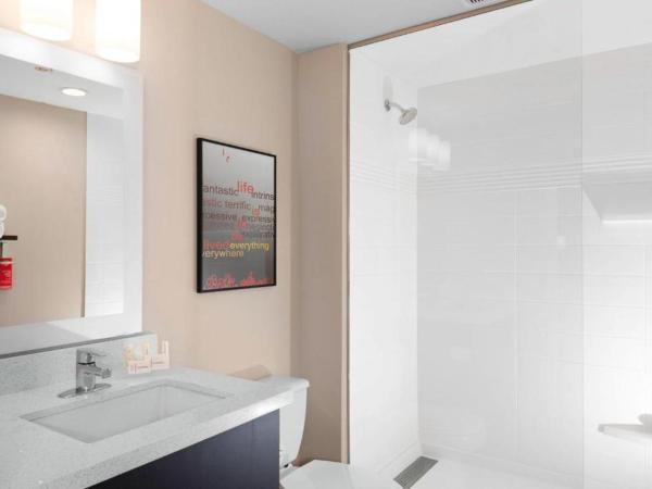 TownePlace Suites by Marriott San Antonio Westover Hills : photo 1 de la chambre studio avec lit king-size et canapé-lit