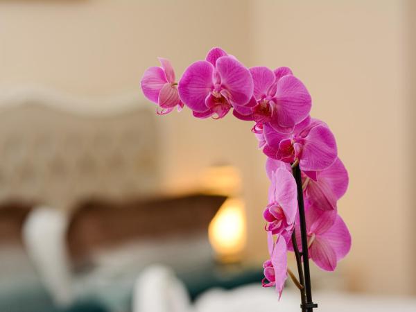 Recital Hotel : photo 6 de la chambre chambre double standard