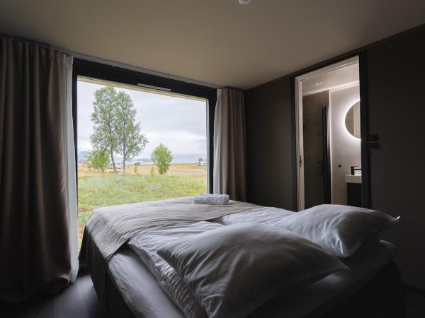 Aera - Glass cabins : photo 7 de la chambre cabane en verre aurora