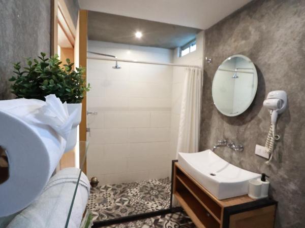 Casa Pánuco : photo 2 de la chambre chambre double avec salle de bains privative