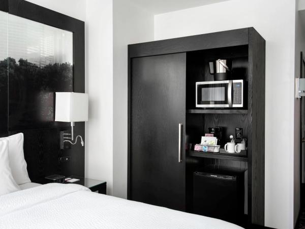 Residence Inn by Marriott Philadelphia Center City : photo 5 de la chambre grand studio avec lit queen-size et canapé-lit