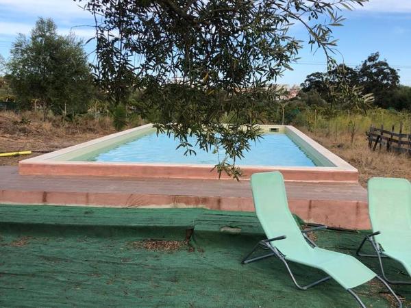 Forest Domes : photo 2 de la chambre tente