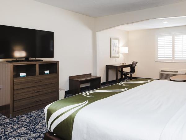 Quality Suites Houston Hobby Airport : photo 3 de la chambre suite lit king-size avec canapé-lit - non-fumeurs