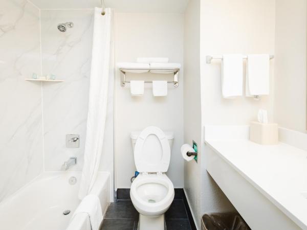 Quality Suites Houston Hobby Airport : photo 9 de la chambre suite lit king-size avec canapé-lit - non-fumeurs