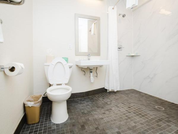 Quality Suites Houston Hobby Airport : photo 8 de la chambre suite lit king-size avec canapé-lit - accessible aux personnes à mobilité réduite - non-fumeurs