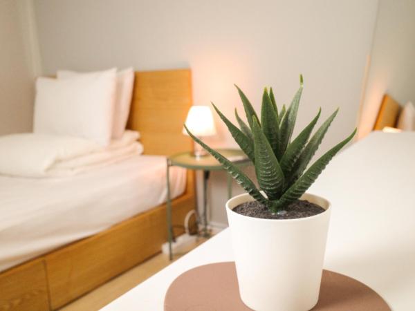 Starria Hostel foreign guest only : photo 6 de la chambre chambre double deluxe