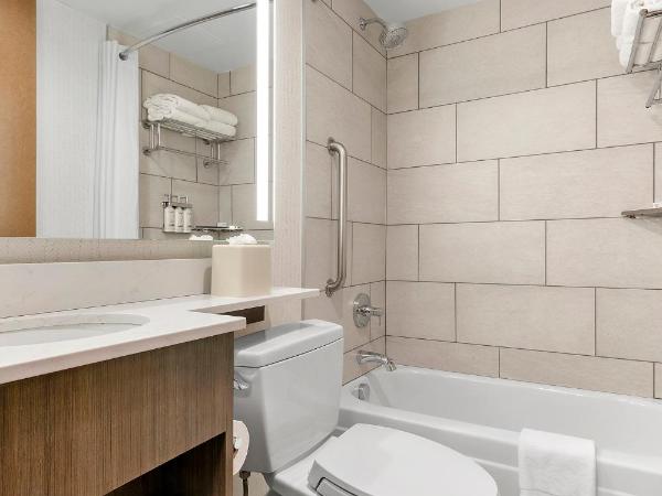 Holiday Inn Manhattan 6th Ave - Chelsea, an IHG Hotel : photo 4 de la chambre chambre king standard avec vue sur ville