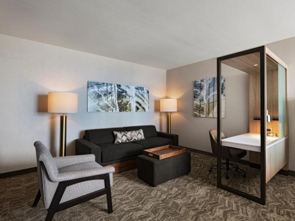 SpringHill Suites by Marriott Dallas Richardson/University Area : photo 6 de la chambre king suite with sofa bed and trundle bed - hearing accessible