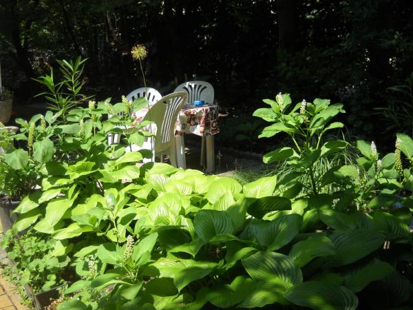 Villa Julia : photo 3 de la chambre appartement 2 chambres