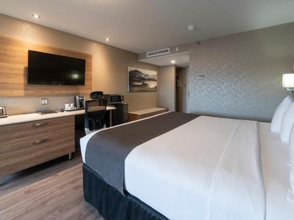 Hôtel & Suites Le Dauphin Québec : photo 8 de la chambre chambre lit king-size