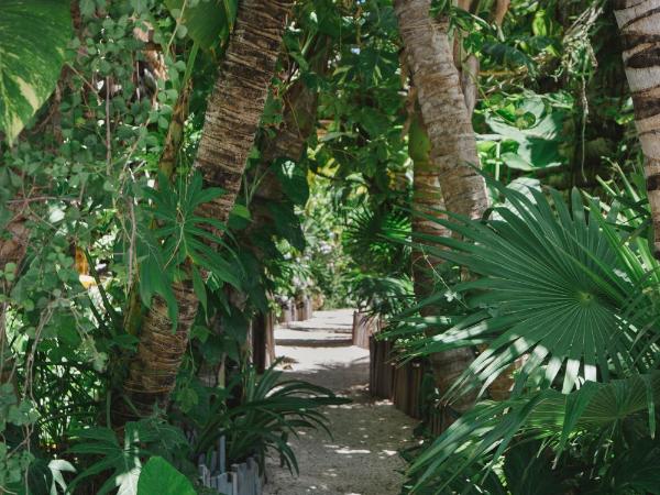 Enigmatic Beach Hotel : photo 4 de la chambre chambre double deluxe