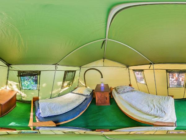 Sandino Hostel - Solo Traveler Sanctuary : photo 4 de la chambre tente