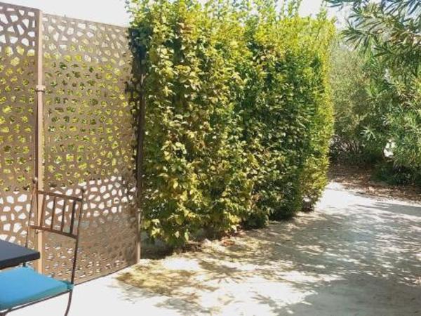 Hôtel Villa Glanum et Spa : photo 1 de la chambre chambre double standard avec terrasse