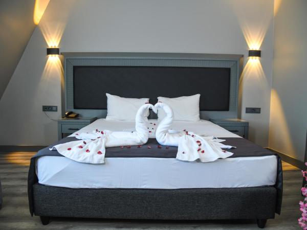 Grand S Hotel : photo 1 de la chambre chambre double standard