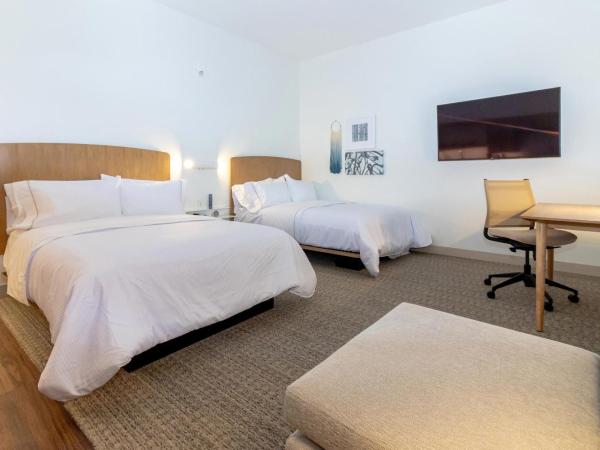 Element St. Louis Midtown : photo 3 de la chambre studio avec 2 lits queen-size et canapé-lit