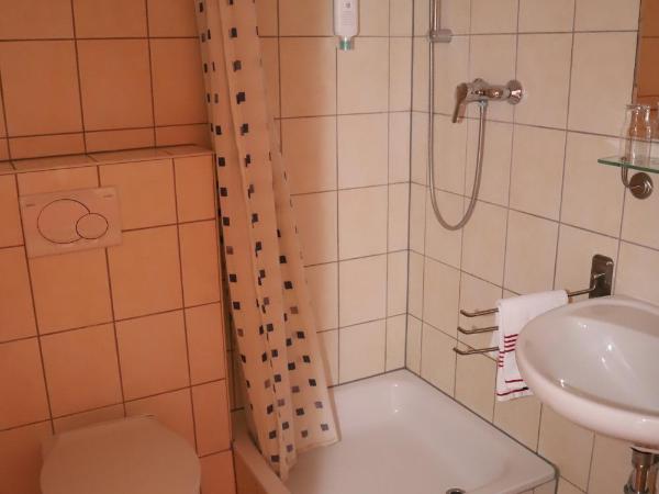 Hotel Aurelia : photo 4 de la chambre chambre simple