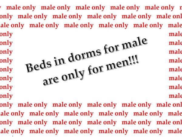 CVJM Jugendhotel München : photo 1 de la chambre lit dans dortoir pour hommes de 4 lits