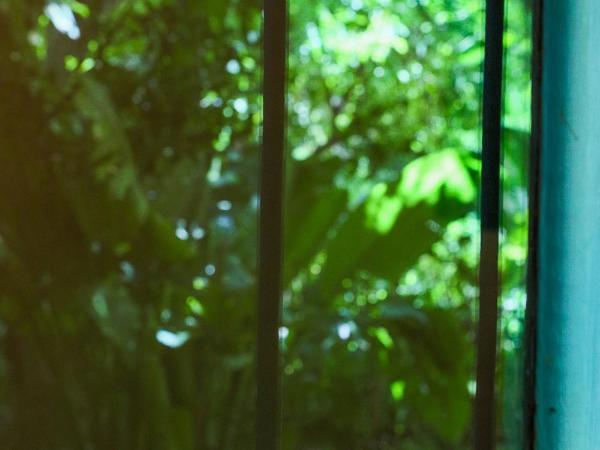 Riad Jardin Des Biehn : photo 6 de la chambre le persan