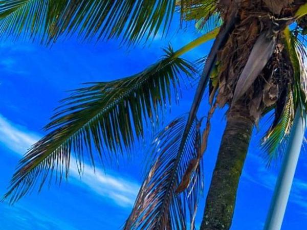 HOSTEL PRAIA DO RECREIO : photo 2 de la chambre suite