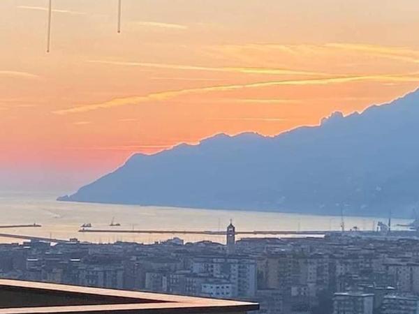 B&B Suite Vela Bianca : photo 1 de la chambre appartement - vue sur mer