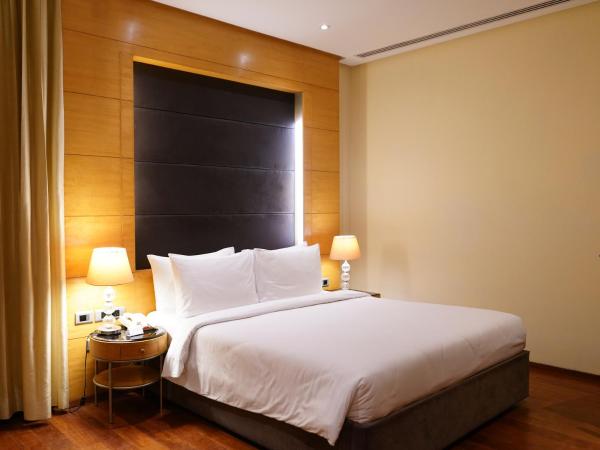Radisson Blu Marina Hotel Connaught Place : photo 1 de la chambre suite